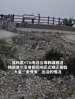 线上股票炒股配资 爱情虫 首尔民众困扰升级