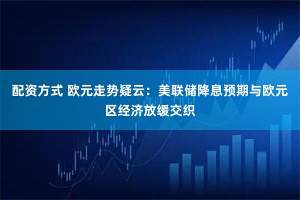配资方式 欧元走势疑云：美联储降息预期与欧元区经济放缓交织