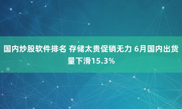 国内炒股软件排名 存储太贵促销无力 6月国内出货量下滑15.3%